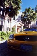 Diego Martien Photo Gallery | Beverly_Car.jpg