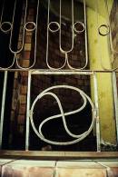 Diego Martien Photo Gallery | Iron_Flower.jpg