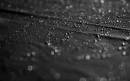 Diego Martien Photo Gallery | drops.jpg