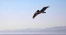 Diego Martien Photo Gallery | malibu.jpg