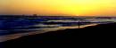 Diego Martien Photo Gallery | oil.jpg